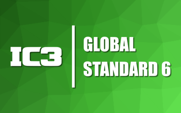 Global standard 6